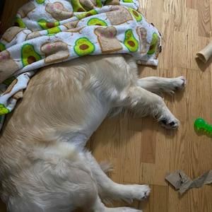 Meet your Posher, Teresa